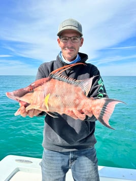 4-6 Hour Nearshore Trip