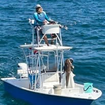 4-6Hr Trip - The Blazer