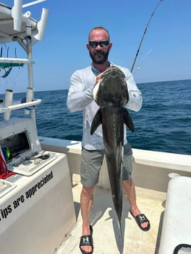 4-6Hr Trip - The Blazer