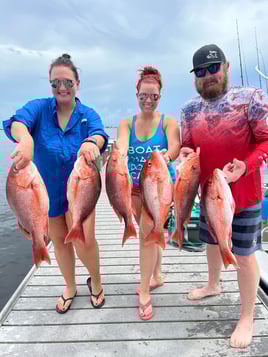 4-6Hr Trip - The Blazer