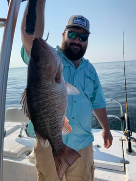 4-8Hr Trip - The Ameracat