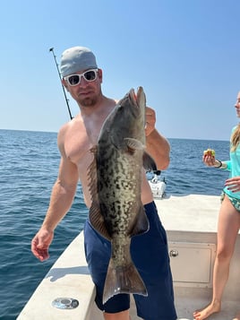 4-8Hr Trip - The Ameracat