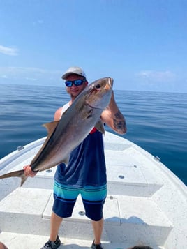 4-8Hr Trip - The Ameracat