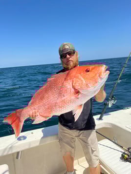 4-8Hr Trip - The Ameracat