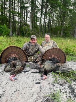 3 Days Turkey Hunt