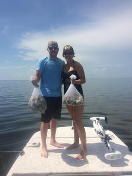 Scalloping