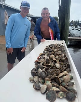 Crystal River Scalloping