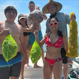Crystal River Scalloping
