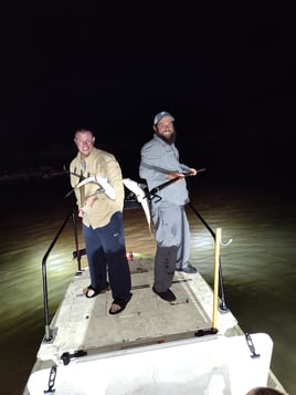5hr Bowfishing/Gigging Night Trip