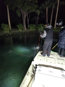 5hr Bowfishing/Gigging Night Trip