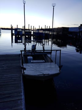 5hr Bowfishing/Gigging Night Trip