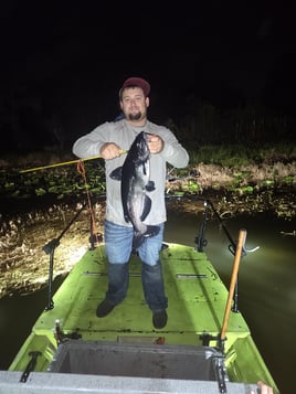 5hr Bowfishing/Gigging Night Trip