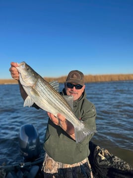 Virginia Beach Back Bay Trips