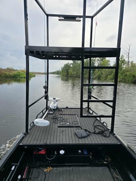 Sight-Fishing Adventure