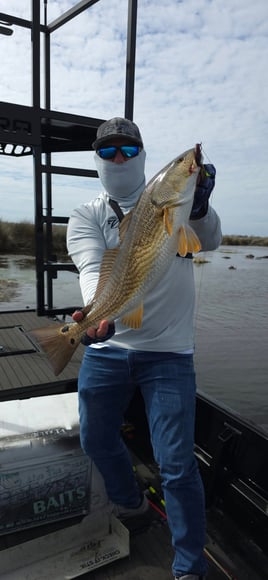 Sight-Fishing Adventure