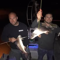 4 Hour Bowfishing Trip at Night