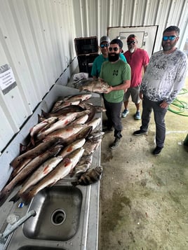 4 Hour Bowfishing Trip at Night
