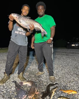 Bowfishing Trip