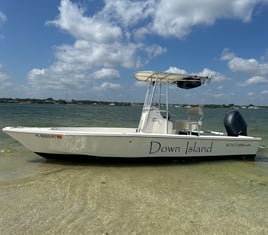 Morning 2,4,or 8 Hour Inshore Trip