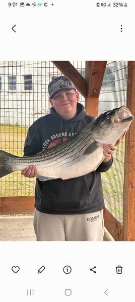 Striped Bass trips