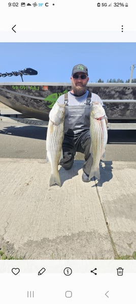 Striped Bass trips