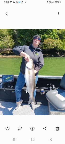 Striped Bass trips