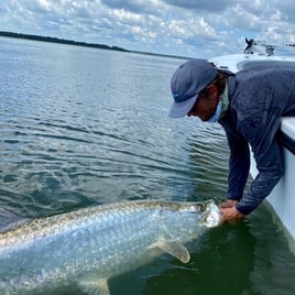 TARPON 2026 - 4hr Trip