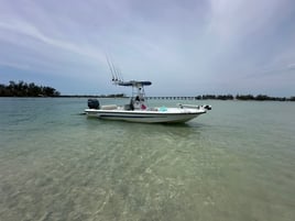 Custom Boating Tours