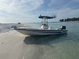 Sunset Tour 