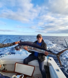 4-8 Hour Offshore Trip