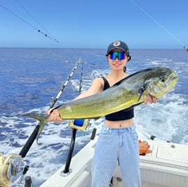 4-8 Hour Offshore Trip