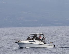 4-8 Hour Offshore Trip