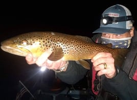 Night Time Trout Trips
