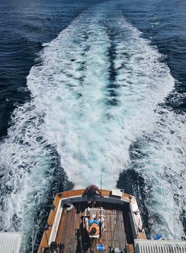 Offshore Fishing Trip