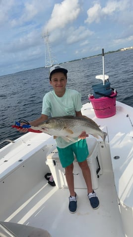 4 Hour Trip – Inshore