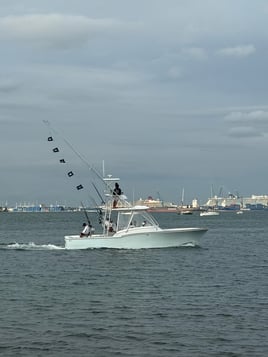 4-8 Hour Trip - Offshore