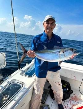 4-8 Hour Trip - Offshore