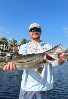 4-6 Hour Inshore Trip