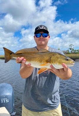 4-6 Hour Inshore Trip