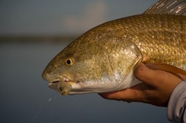 Florida Keys Back Country Fishing  