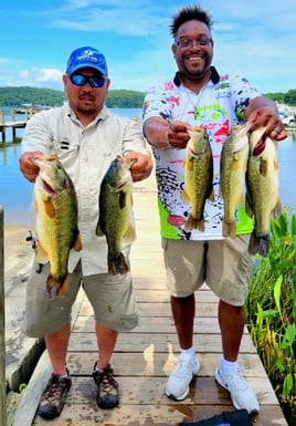 4 to 8 Hour Bass Fishing