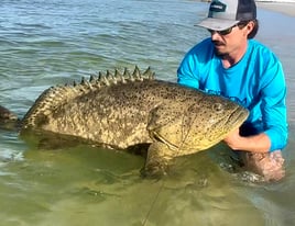 Shark/ Big Game Trip