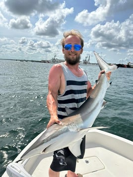 Shark/ Big Game Trip