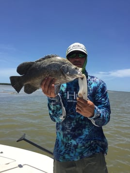 Biscayne Bay/Everglades Trip