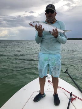 Biscayne Bay/Everglades Trip