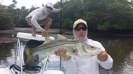 Biscayne Bay/Everglades Trip