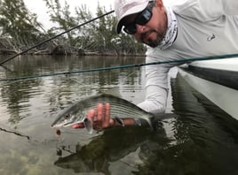 Biscayne Bay/Everglades Trip