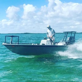 Biscayne Bay/Everglades Trip