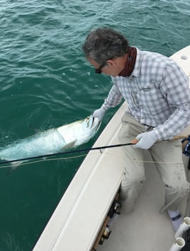 Biscayne Bay/Everglades Trip