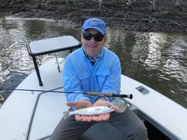 Biscayne Bay/Everglades Trip
